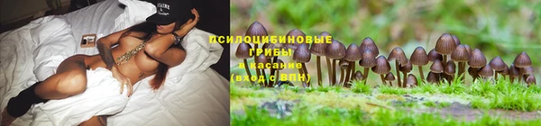 молекула духа Аркадак