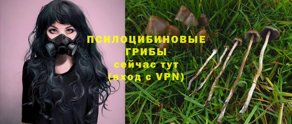 mix Армянск