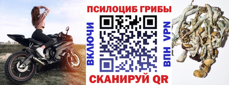 Купить закладки  Белая Калитва  Галлюциногенные грибы Cubensis 